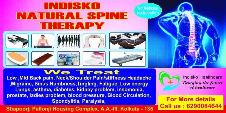 INDISKO NATURAL SPINE THERAPY