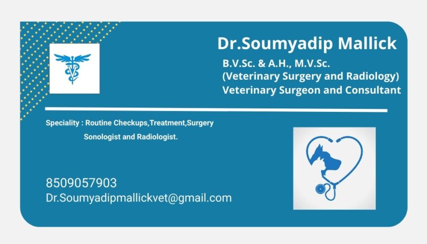 Veterinary Doctor