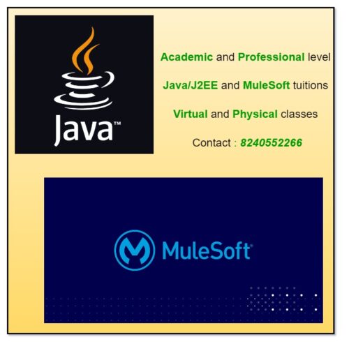 Java/J2EE and MuleSoft – academic and professional level