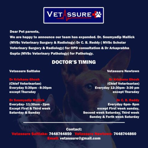 Vetassure Pet Clinic