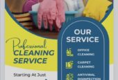 Rishi cleaning service