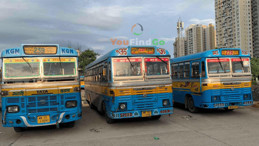 239 BUS SERVICE