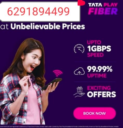 TATA PLAY FIBRE