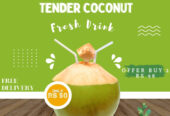 Tender coconut / dabh / coconut water