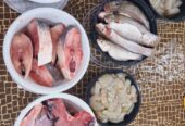 Get all kind of fresh fish and meat at your door step