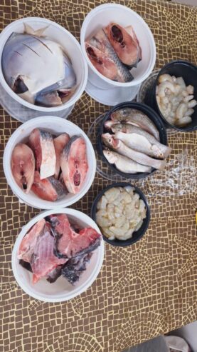 Get all kind of fresh fish and meat at your door step