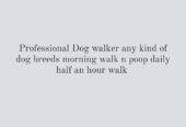 Professional Dog walker