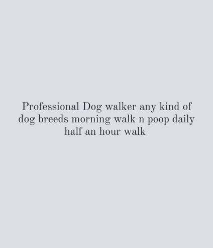 Professional Dog walker