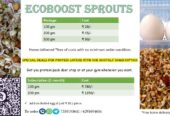 EcoBoost Sprouts